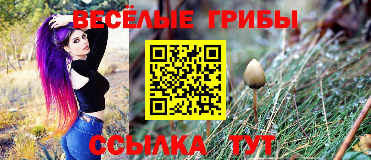 Галлюциногенные грибы прущие грибы  Вход с VPN  Галлюциногенные грибы Psilocybine cubensis  Реутов 